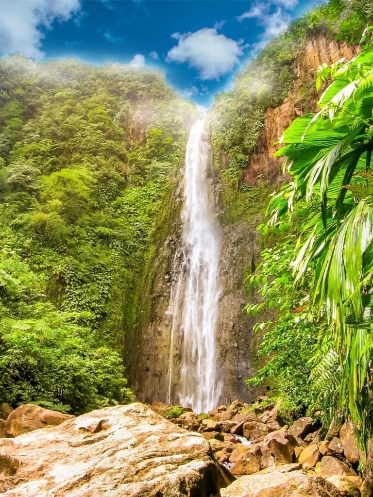River Paradise Goyave Esterno foto