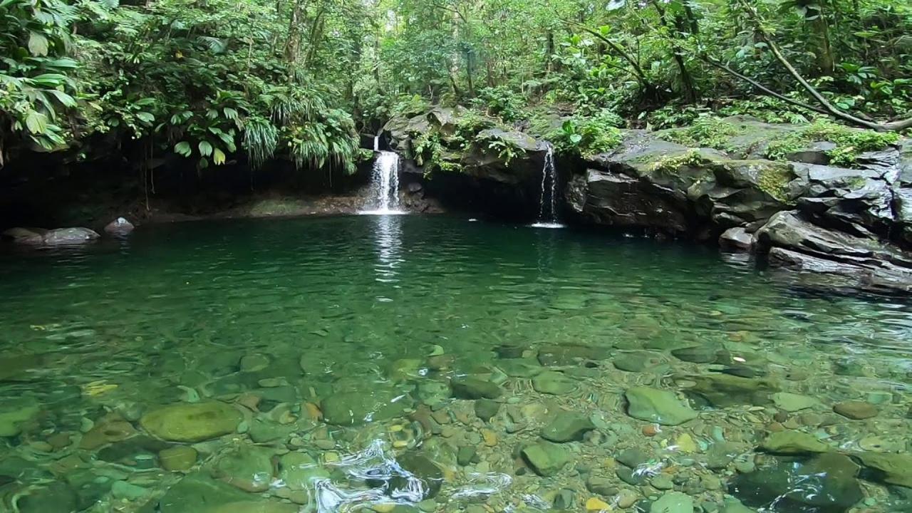 River Paradise Goyave Esterno foto