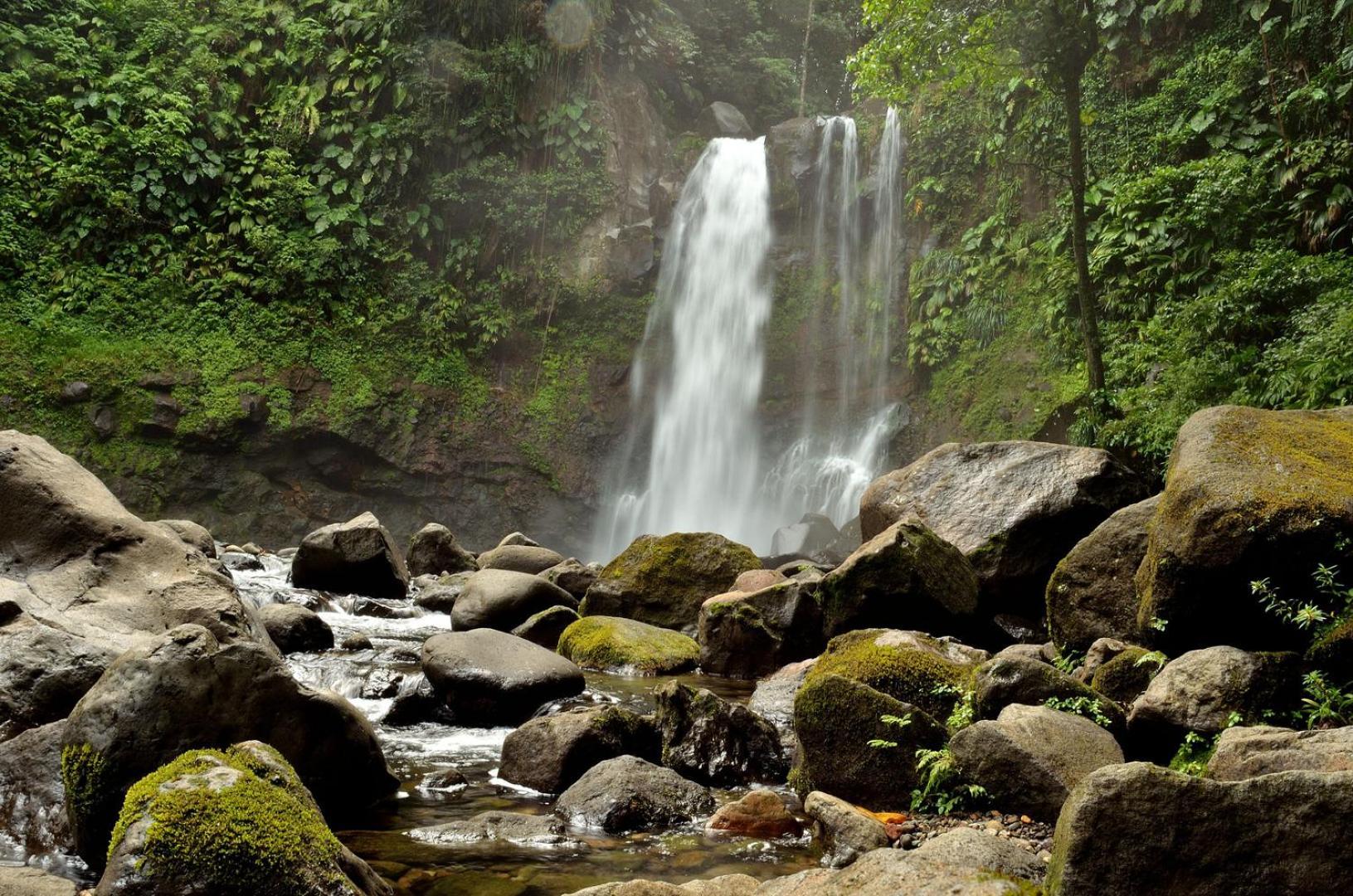 River Paradise Goyave Esterno foto