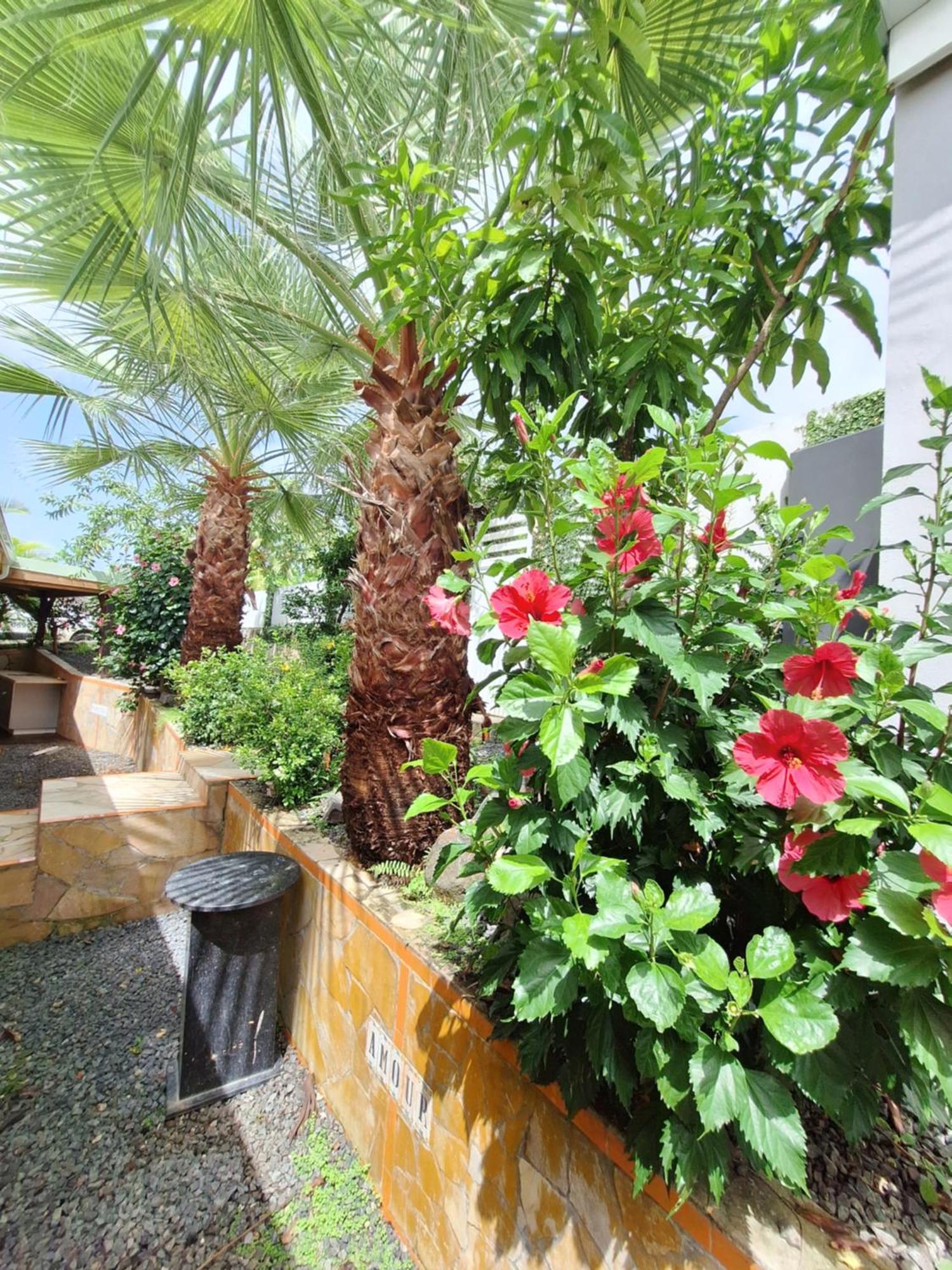 River Paradise Goyave Esterno foto